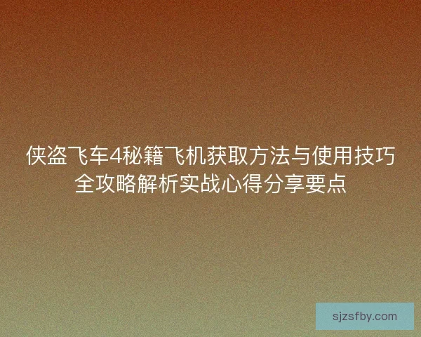 侠盗飞车4秘籍飞机获取方法与使用技巧全攻略解析实战心得分享要点